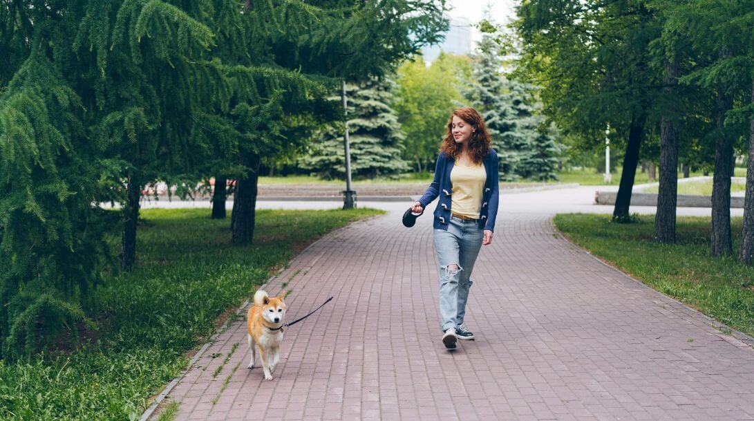 Perro parque