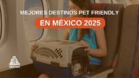 destinos pet friendly