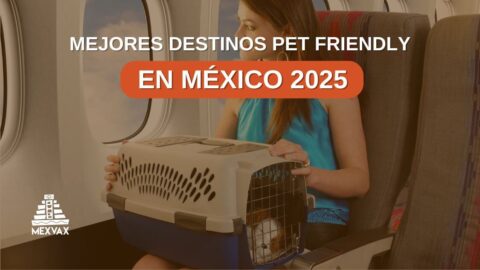 destinos pet friendly
