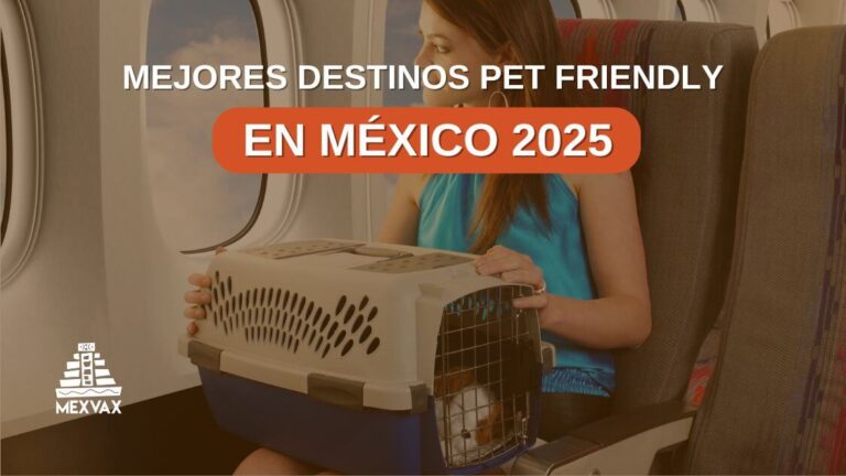 destinos pet friendly