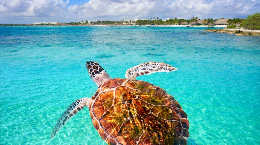 Akumal - Riviera Maya