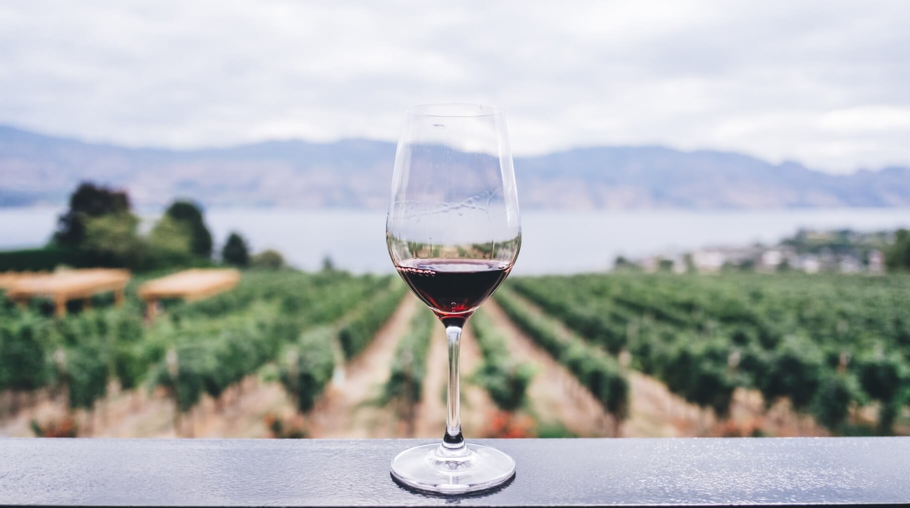 Muestra de vino