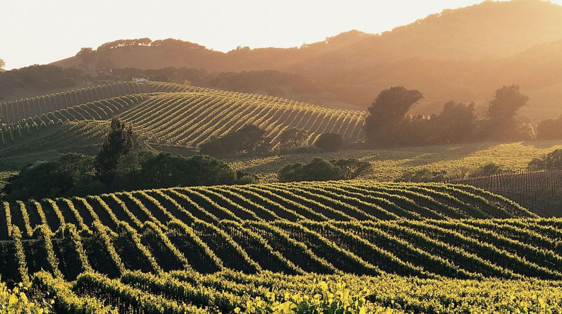 Napa Valley