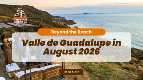 Valle-de-Guadalupe-Is-August-2026s-Luxury-Destination.